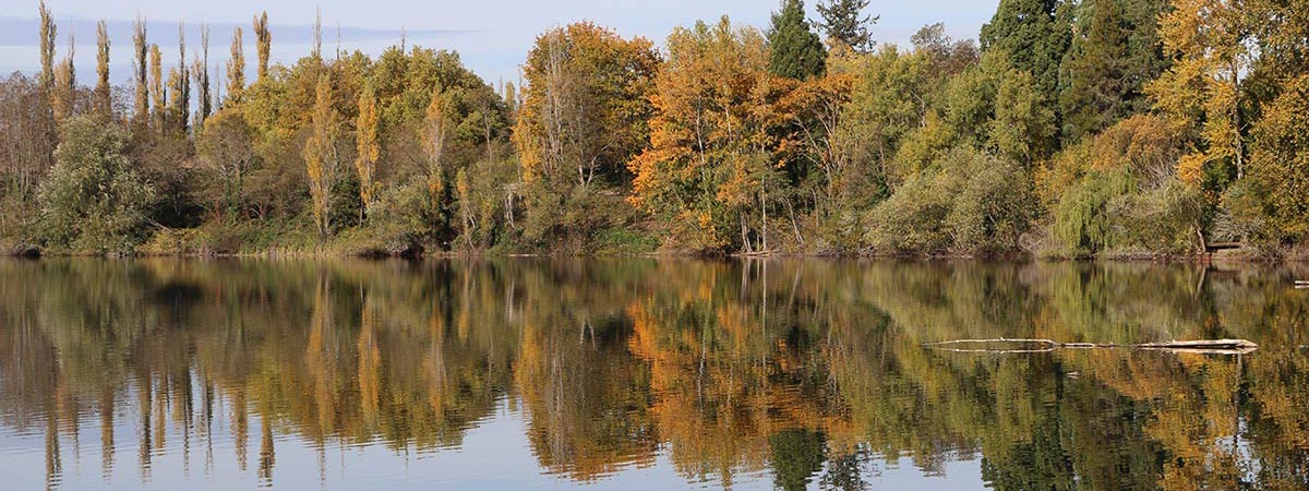 Lake Waughop in Steilacoom Park, Lakewood, WA (photo courtesy of the City of Lakewood)